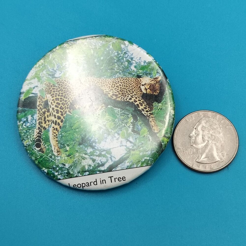 Leopard In Tree Vintage Pinback Button Pin - Picture 3 of 4